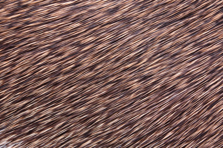 hair background