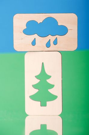 coniferの写真素材