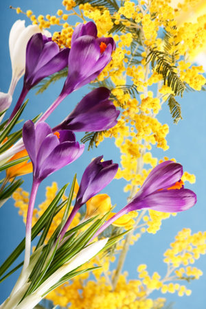 Spring holiday crocus flowers の写真素材