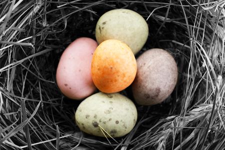 chocolate eggs in the nestの写真素材