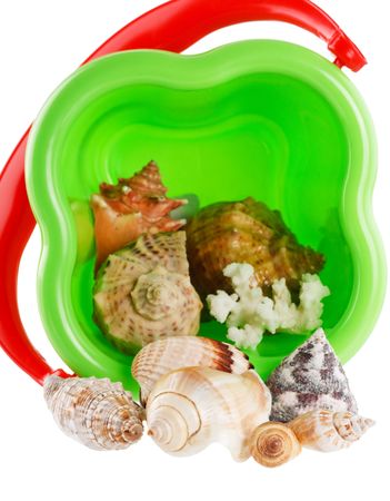 summer seasonsの写真素材