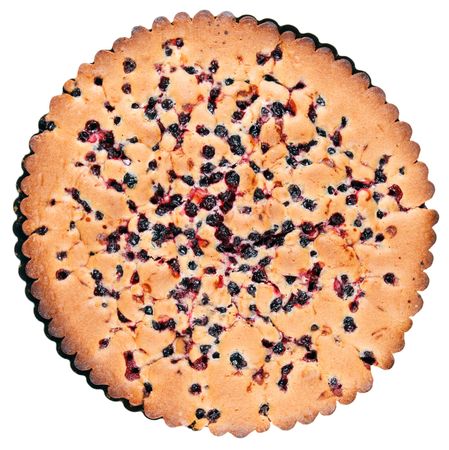 Blueberry Cakeの写真素材