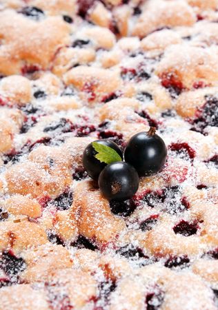 Black currant cakeの写真素材