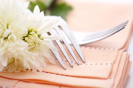 Napkin on wedding table
の写真素材