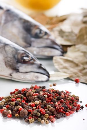 mackerel with spiceの写真素材