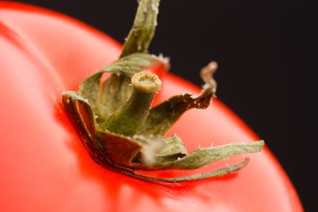 fresh tomatoの写真素材