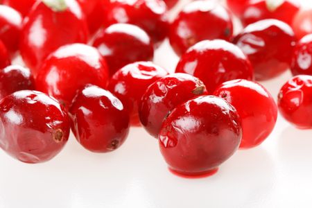 fresh cranberries
の写真素材