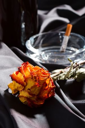 wine and rose
の写真素材