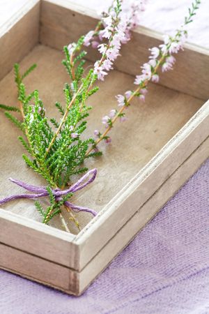 bouquet of heather flowersの写真素材