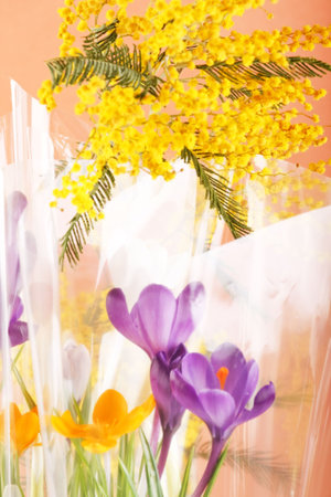 spring flowersの写真素材