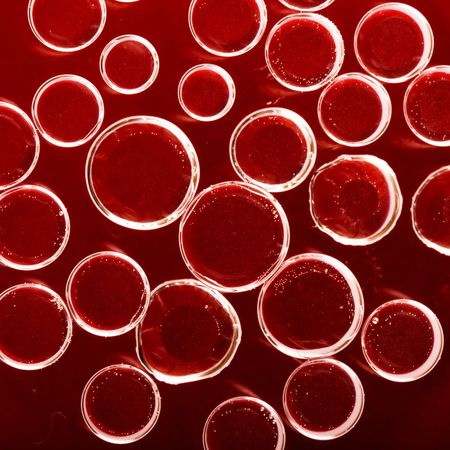  red blood cellsの写真素材