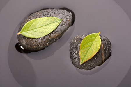 zen stones and leaves with water drops の写真素材