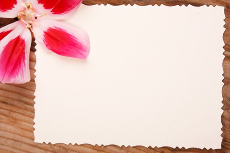 Vintage background の写真素材