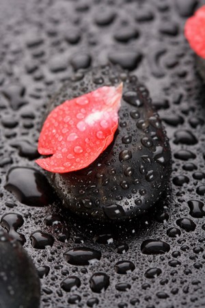zen stones and flower petals の写真素材