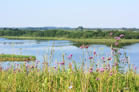 beautiful lake