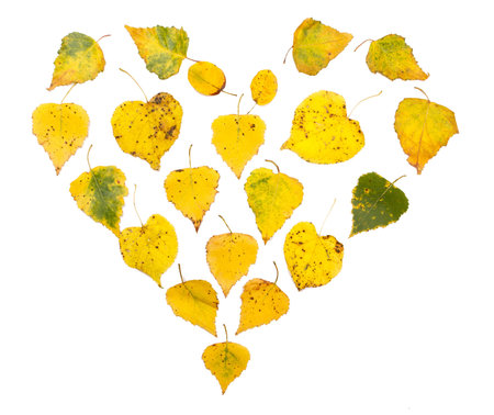 autumn background