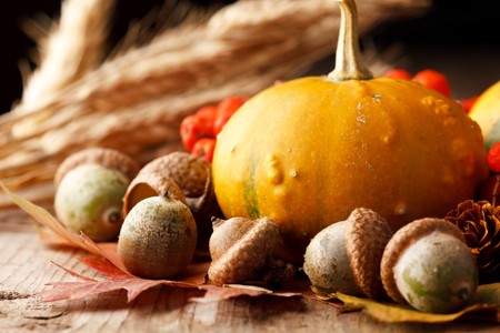 Harvested pumpkins with fall leaves の写真素材