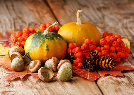 Harvested pumpkins with fall leaves の写真素材