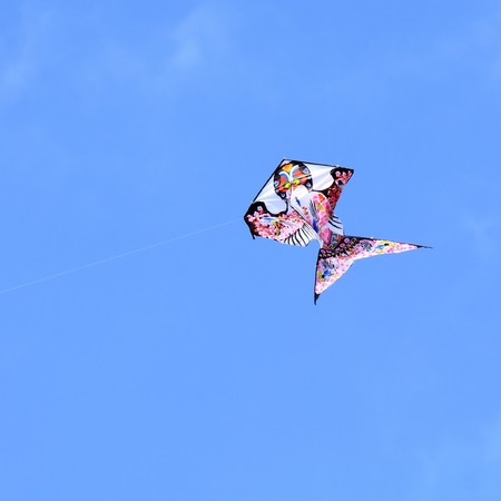 rainbow kite flying in a clear の写真素材