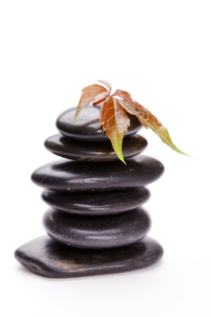 black stones and green leavesの写真素材