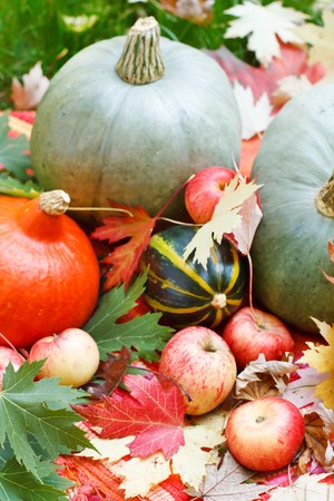 Harvested pumpkins with fall leaves の写真素材