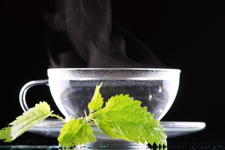 tea nettle の写真素材