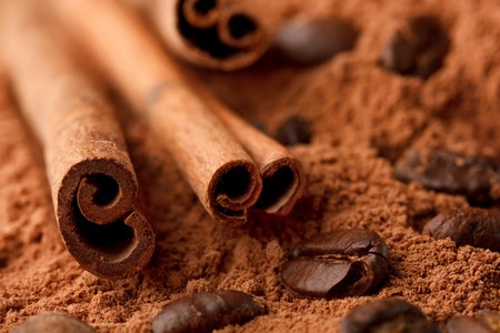 Cinnamon Sticks with Cocoa の写真素材