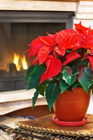 Fireplace and flowerの写真素材