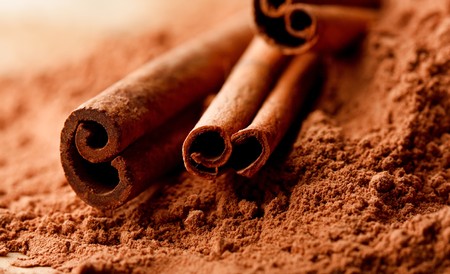 Cinnamon Sticks with Cocoa の写真素材