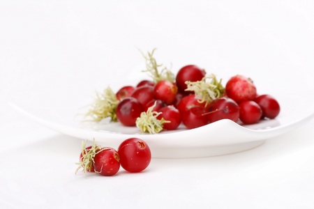Fresh red cranberries の写真素材