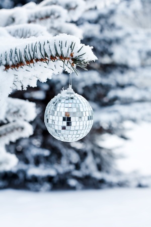 Christmas ball on the fir の写真素材
