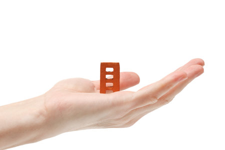 brick in the handの写真素材