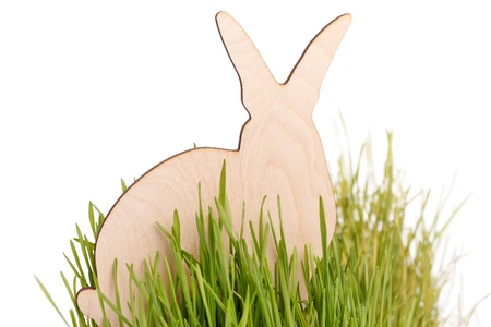 easter rabbit on grassの写真素材
