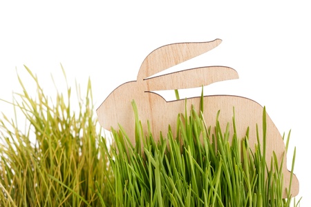 easter rabbit on grassの写真素材