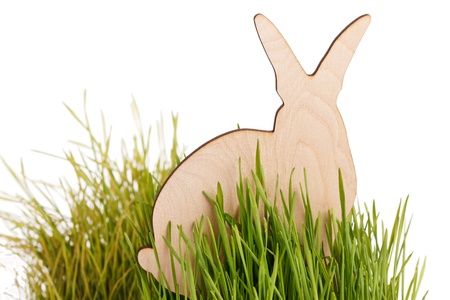 easter rabbit on grassの写真素材