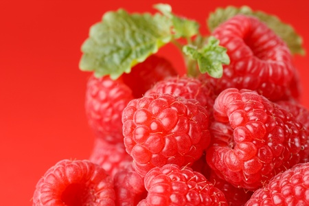 fresh raspberriesの写真素材