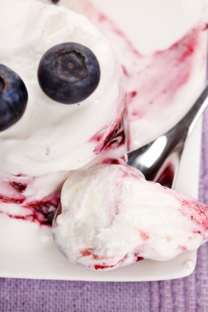 ice cream with blueberriesの写真素材
