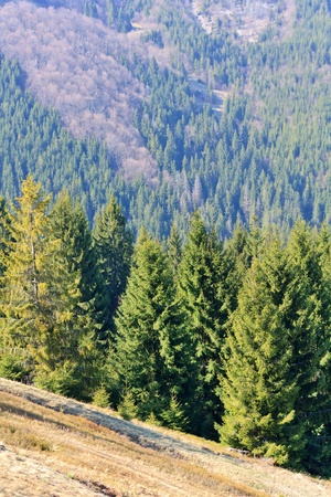 Carpathian Mountainsの写真素材