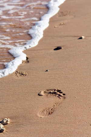 footprints on the sandの写真素材