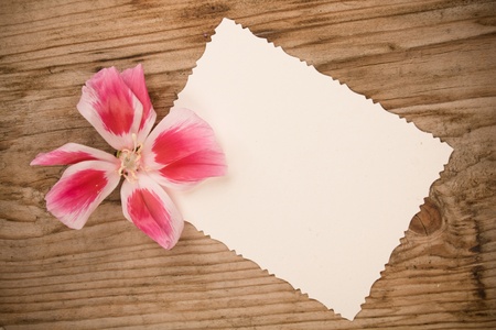 Vintage background の写真素材