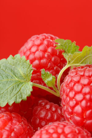 fresh raspberries