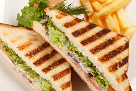 Sandwiches with French fried potatoesの写真素材