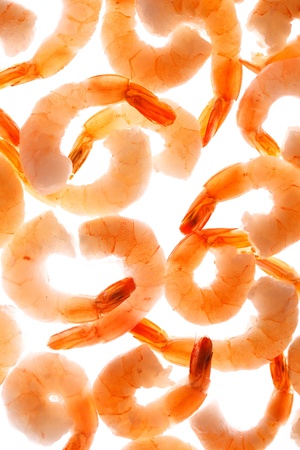 shrimps on the whiteの写真素材