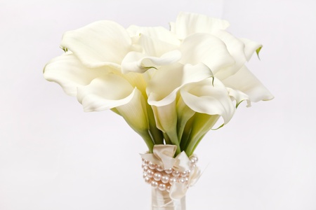 calla flowers の写真素材