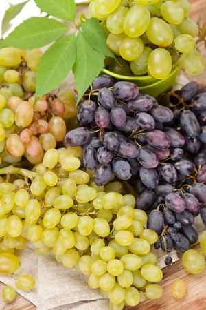 fresh grapesの写真素材
