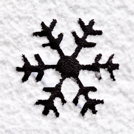 snowflake on the snowの写真素材