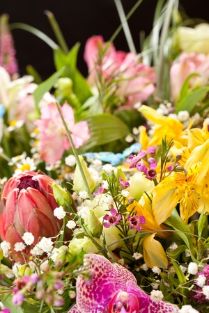 bouquet of colorful flowers の写真素材