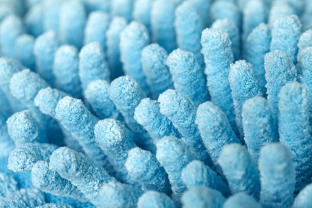 blue carpet の写真素材