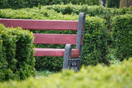 Bench in the park の写真素材