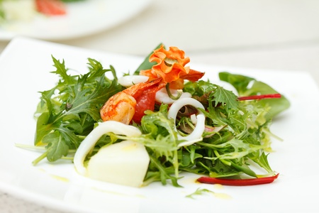 salad with shripsの写真素材